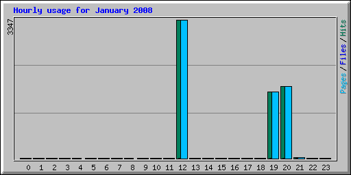 Hourly usage for January 2008